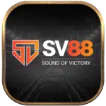 sv88-150x150