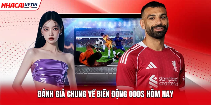 Đánh giá chung về biến động odds hôm nay 